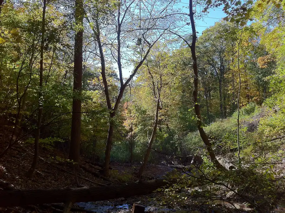 Monsey Glen, a wooded ravine in Monsey