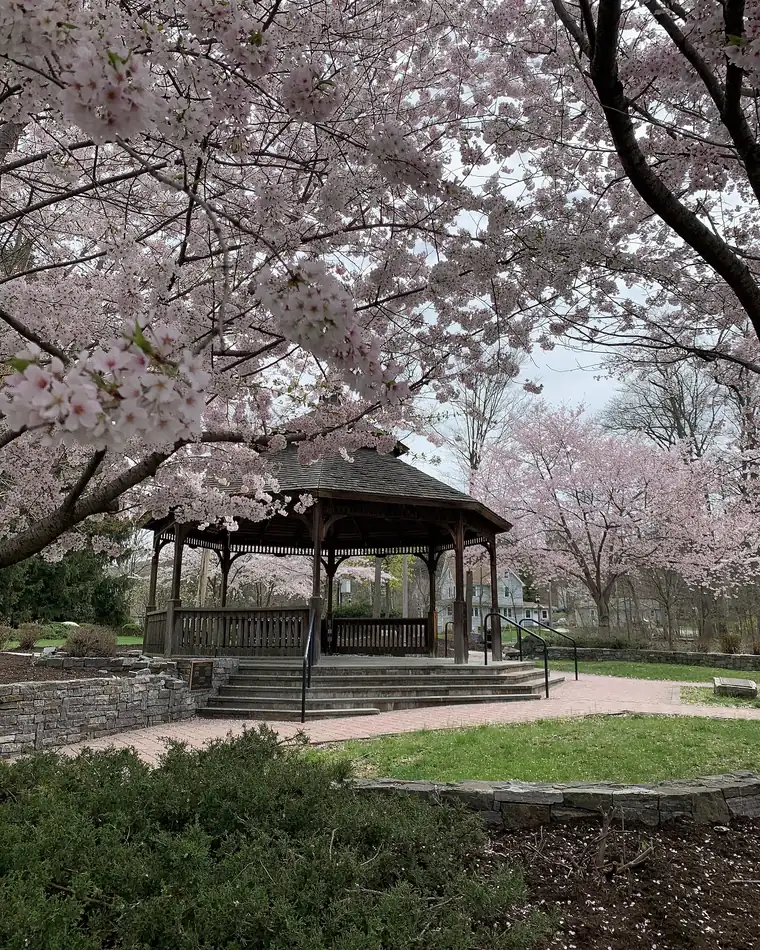 Gazebo and cherry blossoms on the Valley Cottage hamlet green
